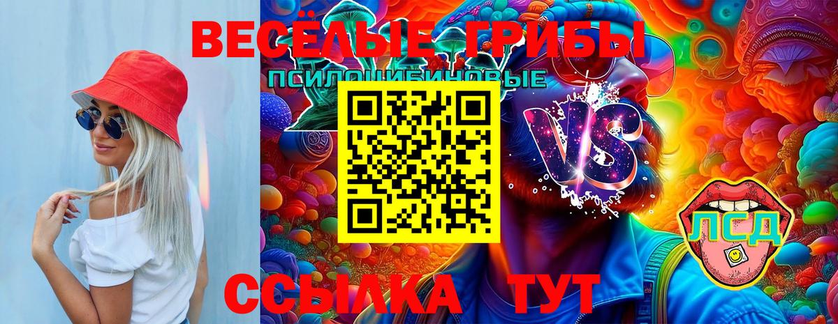 Ноябрьск  Псилоцибиновые грибы прущие грибы  Вход с VPN 