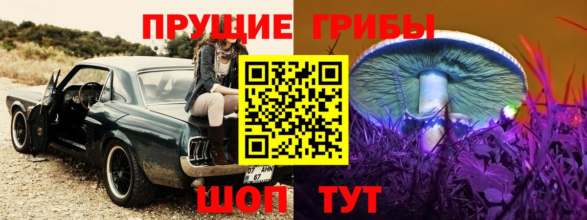 Псилоцибиновые грибы Cubensis Ноябрьск